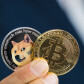 DOGEANDBTC4YOU