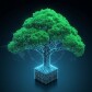 Cedrus Alpha