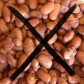noBeans