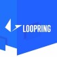 What is Loopring? A Quick Start Guide