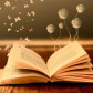 Book-worm