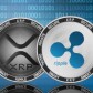 derbycuzxrp