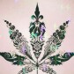 Walloom