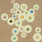 Cryptococcus