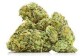 Experience on weed