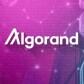 Algorand Ecosystem