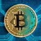 TheCryptoInvestor