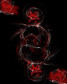 Dominustheus Art