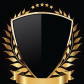 Defender