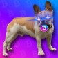 Crypto-Tips-I-Wish-Someone-Told-Me