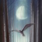My weird dreams