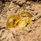 Crypto Investing 101: Is It a Good Time to Invest?