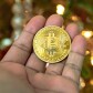 Creepto on Crypto