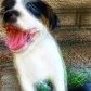 Poetry_Through_Existence [OC]