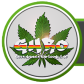 GREEN HOUSE RADIO ONLINE