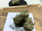 Strain Review