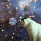 MatTehCat's Blogs