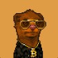 Bearboy Crypto