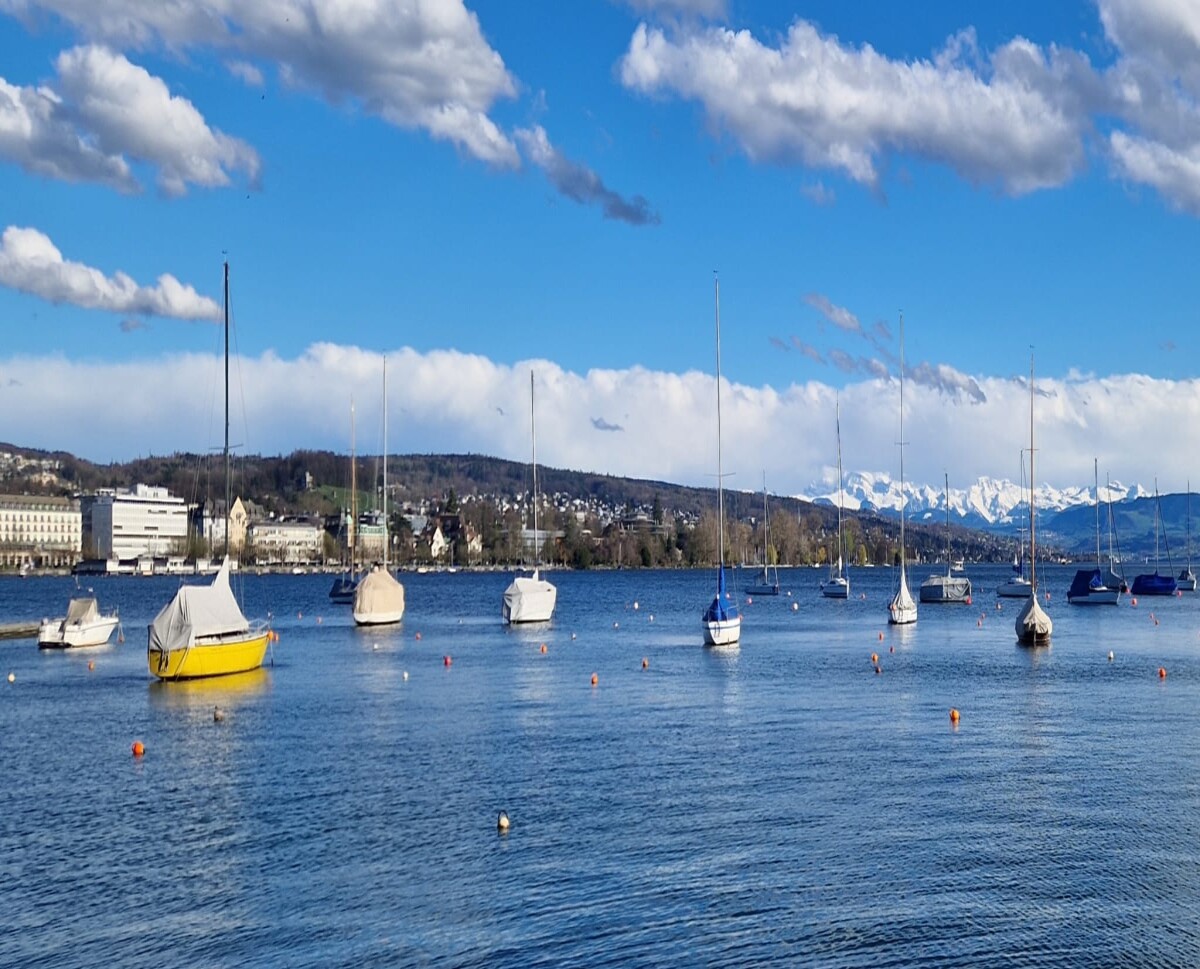 A sunny day by the Zurich Lake