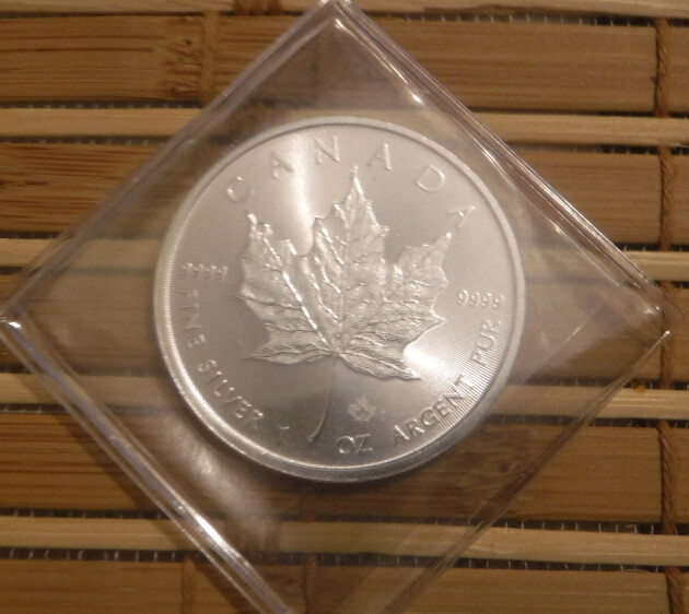 2023 Silver Maple