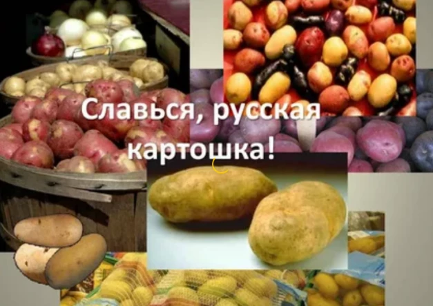 3a7edc973b2aef94c4fd14bb3c3ccd76ecb00007be38b0b9406dc5f58606c3c6.png