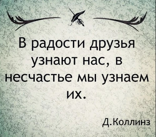 e26e6a92a1d57a5290e3b0d447d85670467a38dd1fa9369ab2756dd928d29f86.jpg