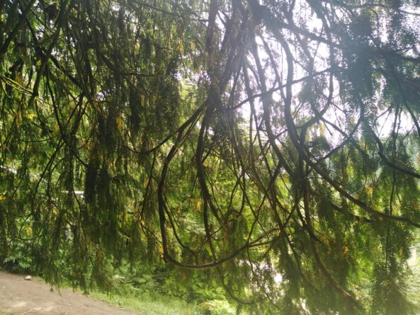 Story Of Cycling &amp; Nature Hiking: Enigmatic Path to Pristine Waterfalls (2)