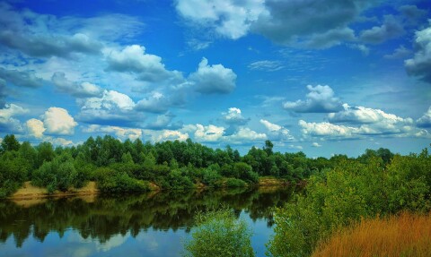 mobilography12