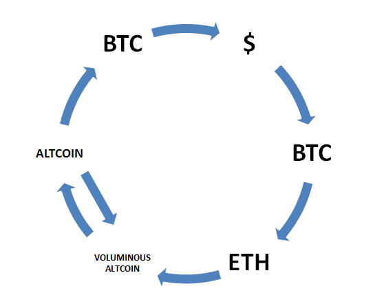 cycle
