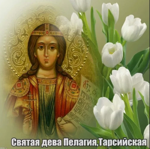 1c1a66ee1db9569e13dce534c3d35b83039ef17cff5bb0991cb797e2d5915834.png