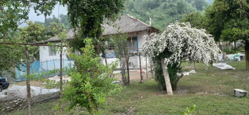 Cycling And Discovering A New Village Deep in The Forest