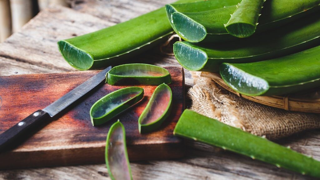 Aloe Vera slices