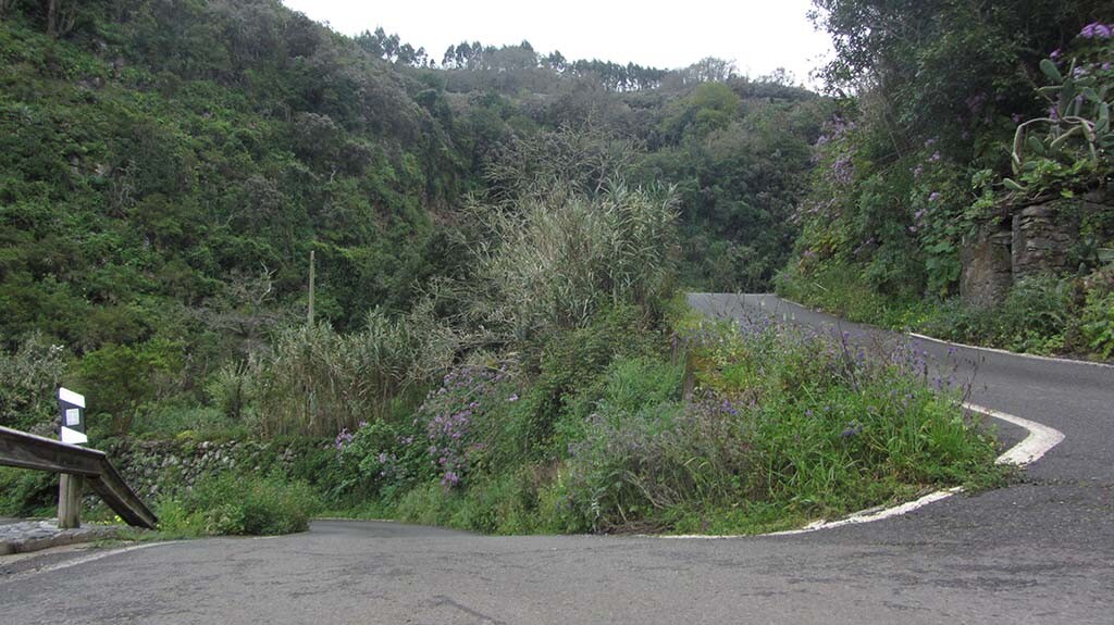 currvica