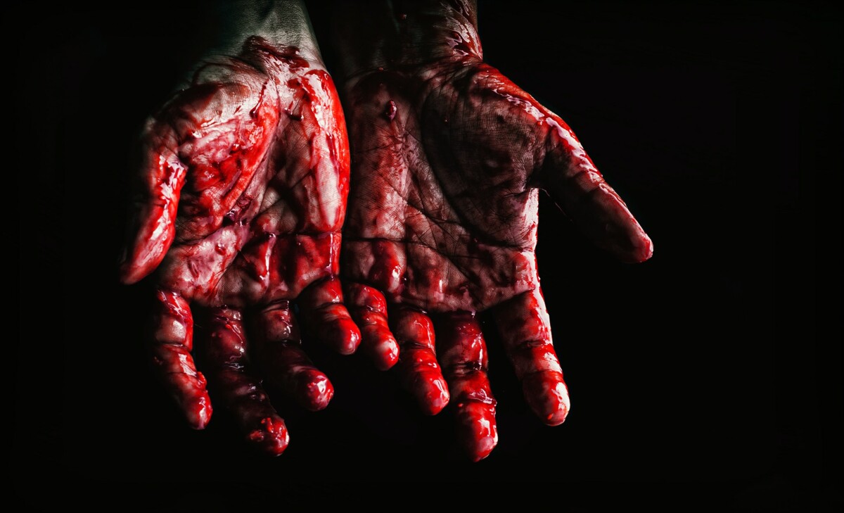 3e05b340900339deeb2795c6587f99eb06584c282f429815d0a6cb9660b50fd9.jpg
