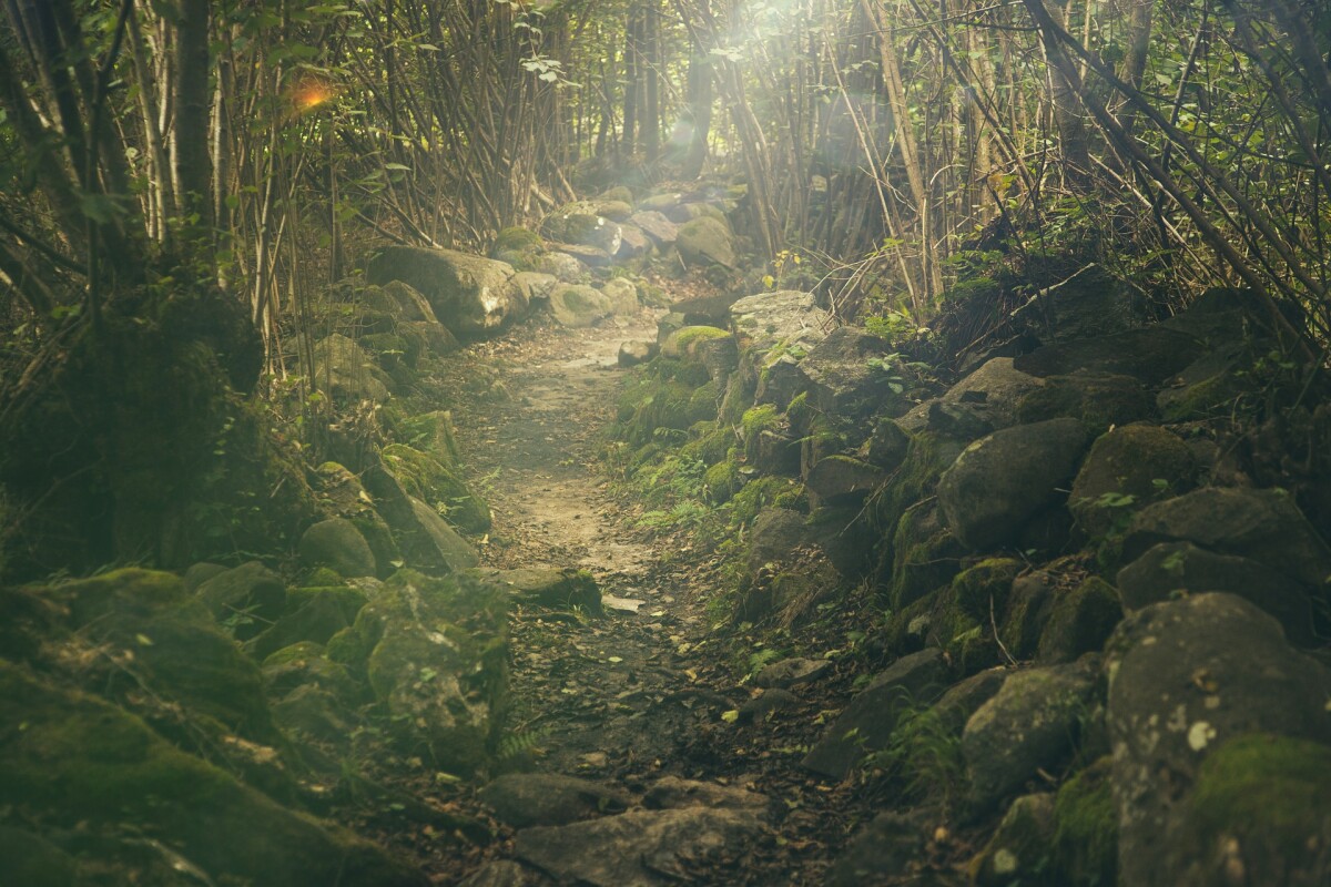 We persist to find out meaning over success and happiness in life