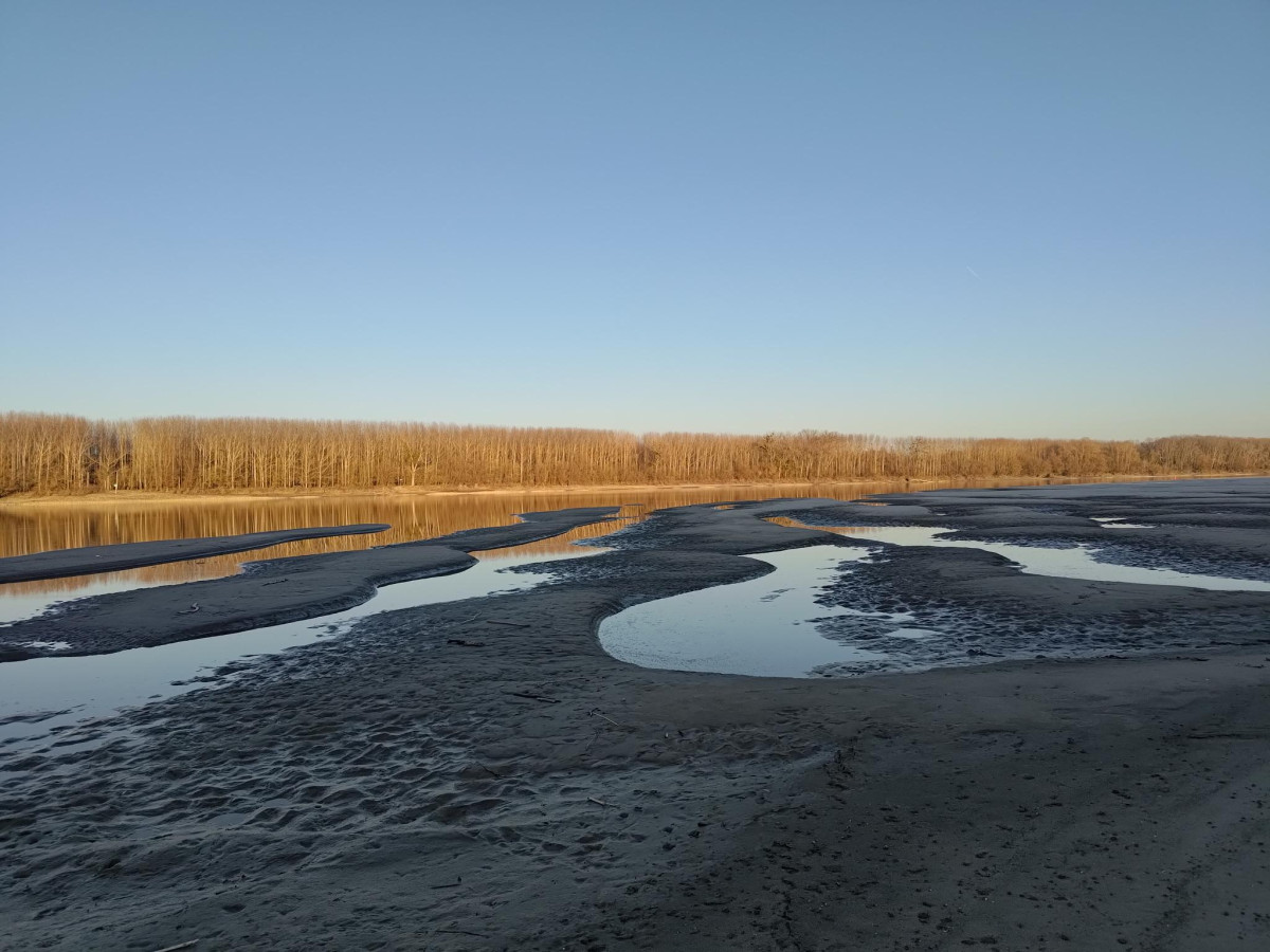 Join the Settlement This Spring Liberland
