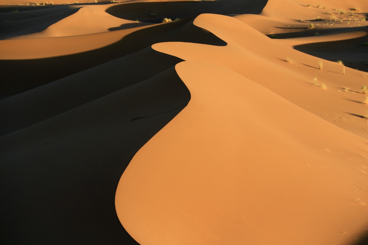 https://unsplash.com/photos/fmHjwMOVSGI?utm_source=unsplash&amp;utm_medium=referral&amp;utm_content=creditShareLink