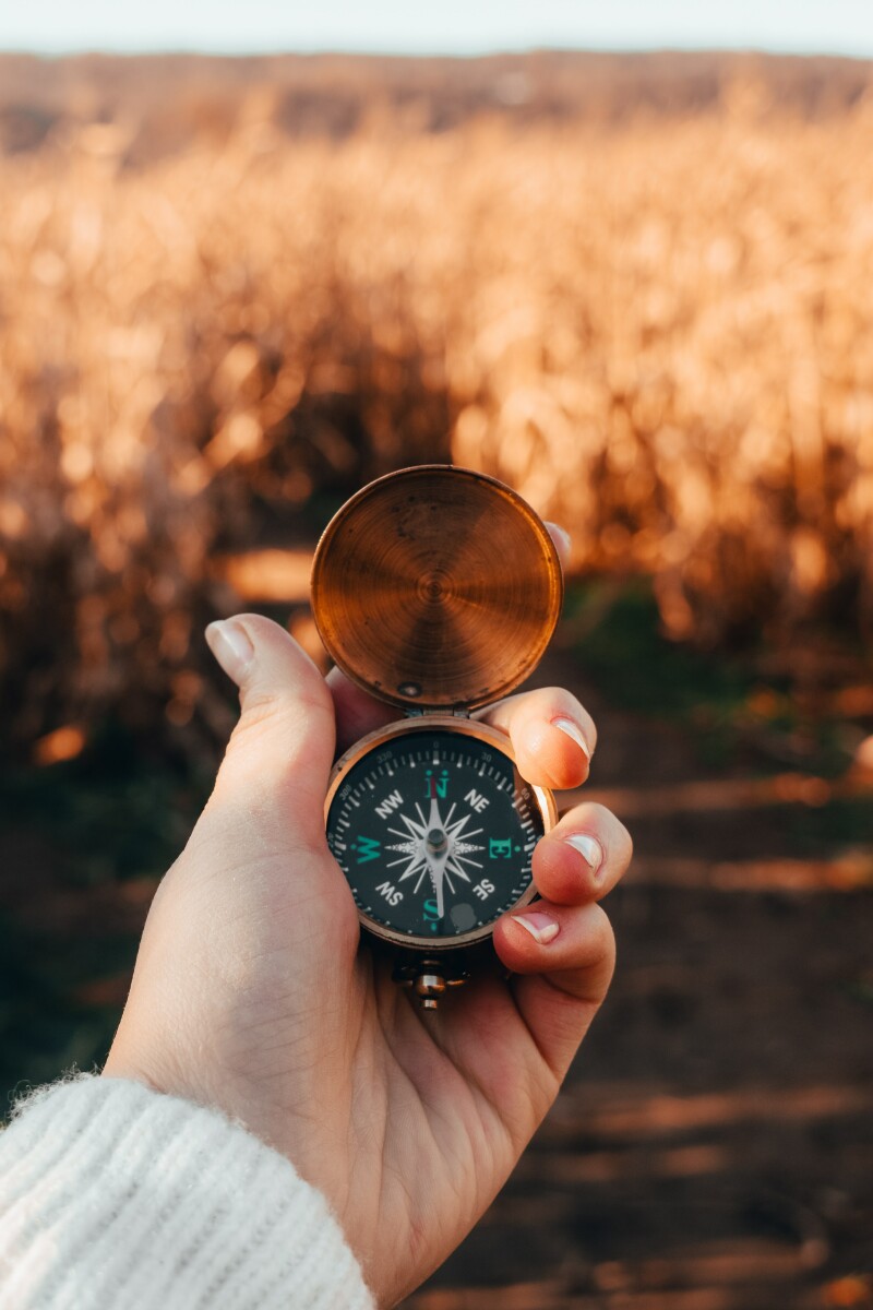 https://unsplash.com/photos/aY7VTXi9fvI?utm_source=unsplash&amp;utm_medium=referral&amp;utm_content=creditShareLink