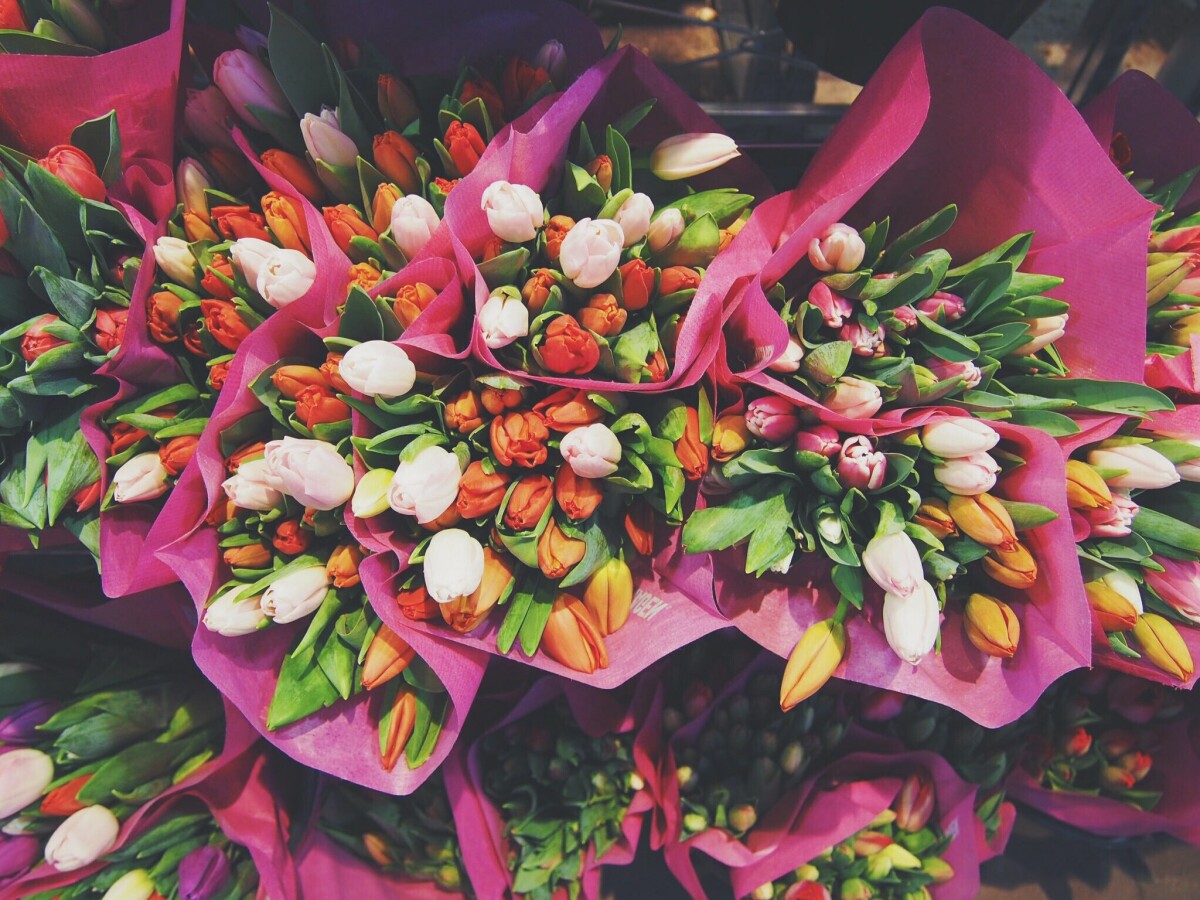 https://unsplash.com/photos/P1X0750vHdQ?utm_source=unsplash&amp;utm_medium=referral&amp;utm_content=creditShareLink