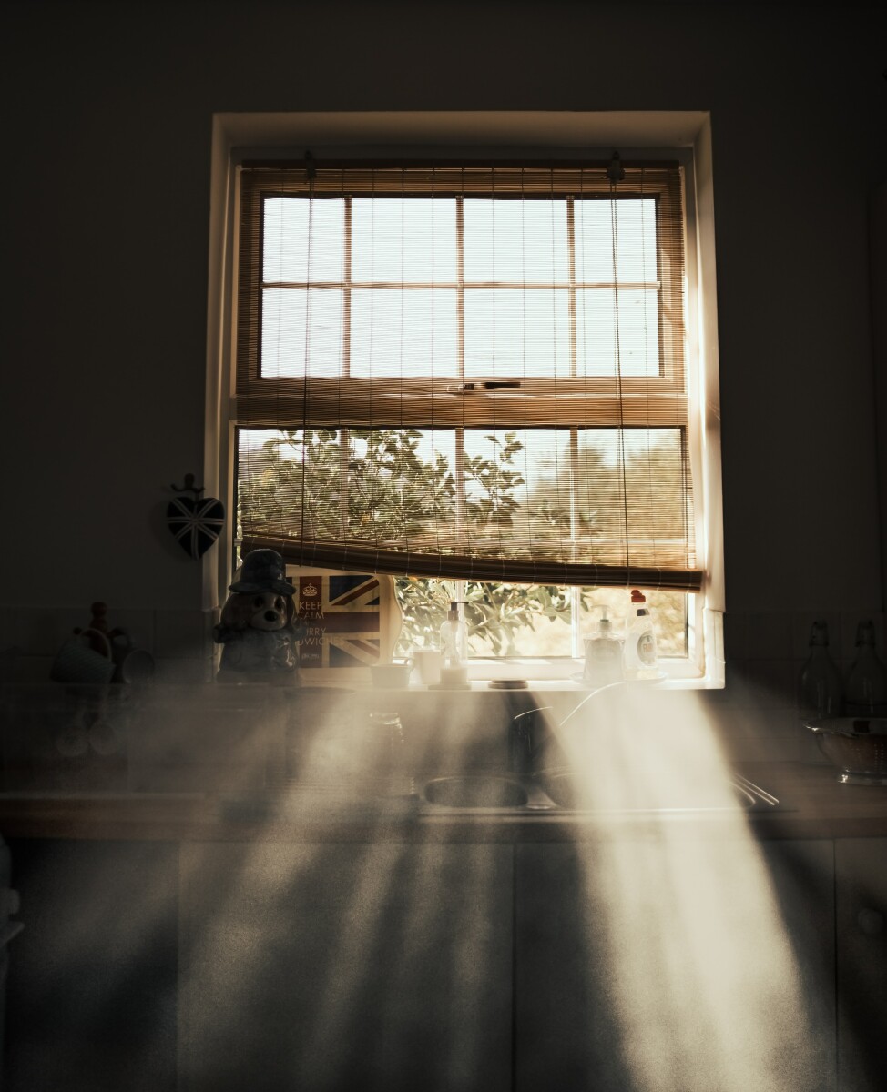 https://unsplash.com/photos/i8xzc1aPNYA?utm_source=unsplash&amp;utm_medium=referral&amp;utm_content=creditShareLink
