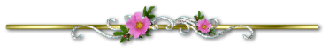 26c39d847d68edb7c0e7c16b1788a32fb3ebebb10dd190e0f9f49be3692cabb3.png