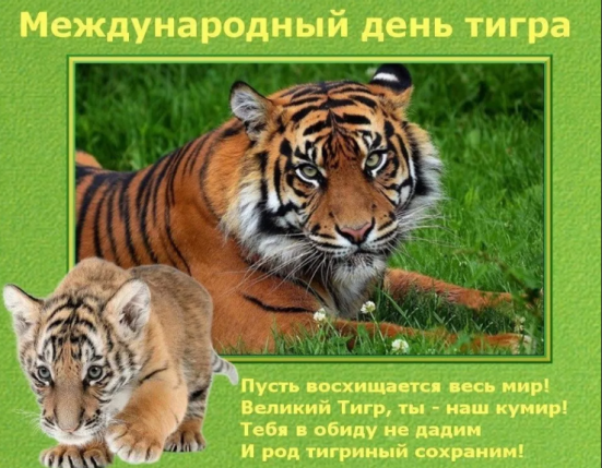 49dff621366016d967ddbdc49ac6f44e2c1c253513e0803f8810555b84065b7e.png