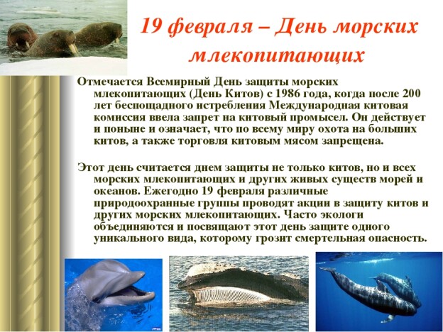 ec222aedfbaaeebc609982cb58f5a8282d316f4fda2d289c0efe3eec60c4a686.jpg