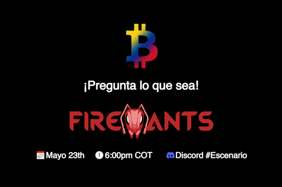 pregunta lo que queiras FireAnts de CryptoColombia