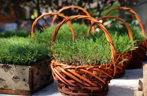 The Unique Traditions of Persian New Year “Nowruz”