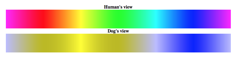 a453620d2848badb72d72a66791cfb51f4b45cd56b0931ded422e7220c71847a.png