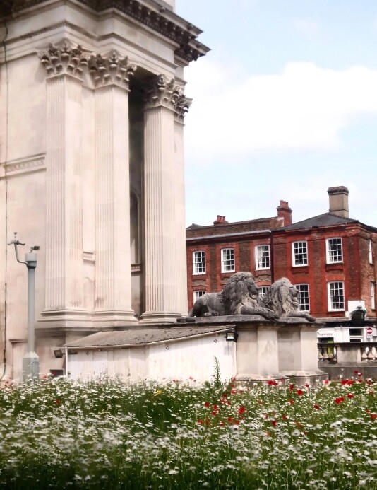 The Magical Cambridge
