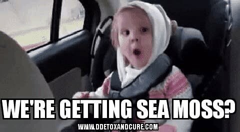 We're getting sea moss