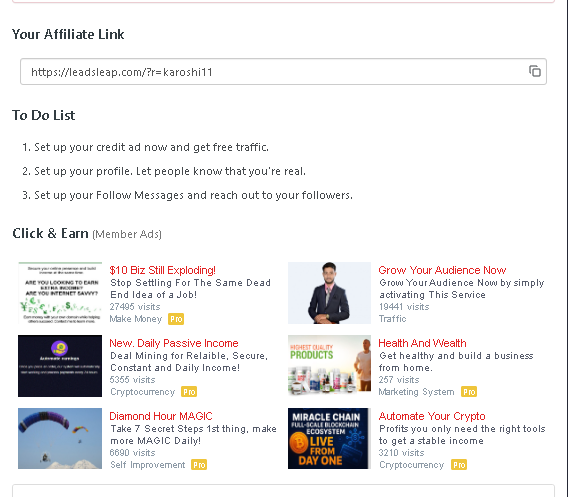 Leadsleap Earning