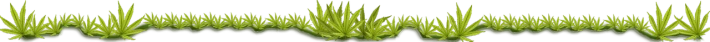 351665157-88c796efa4792dcdd1be003c80ce4f5b64fe77d741c57c88e2087fc8cb4c49e0.png